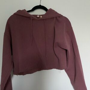 Urban Outfitters Purple Cropped Hoodie